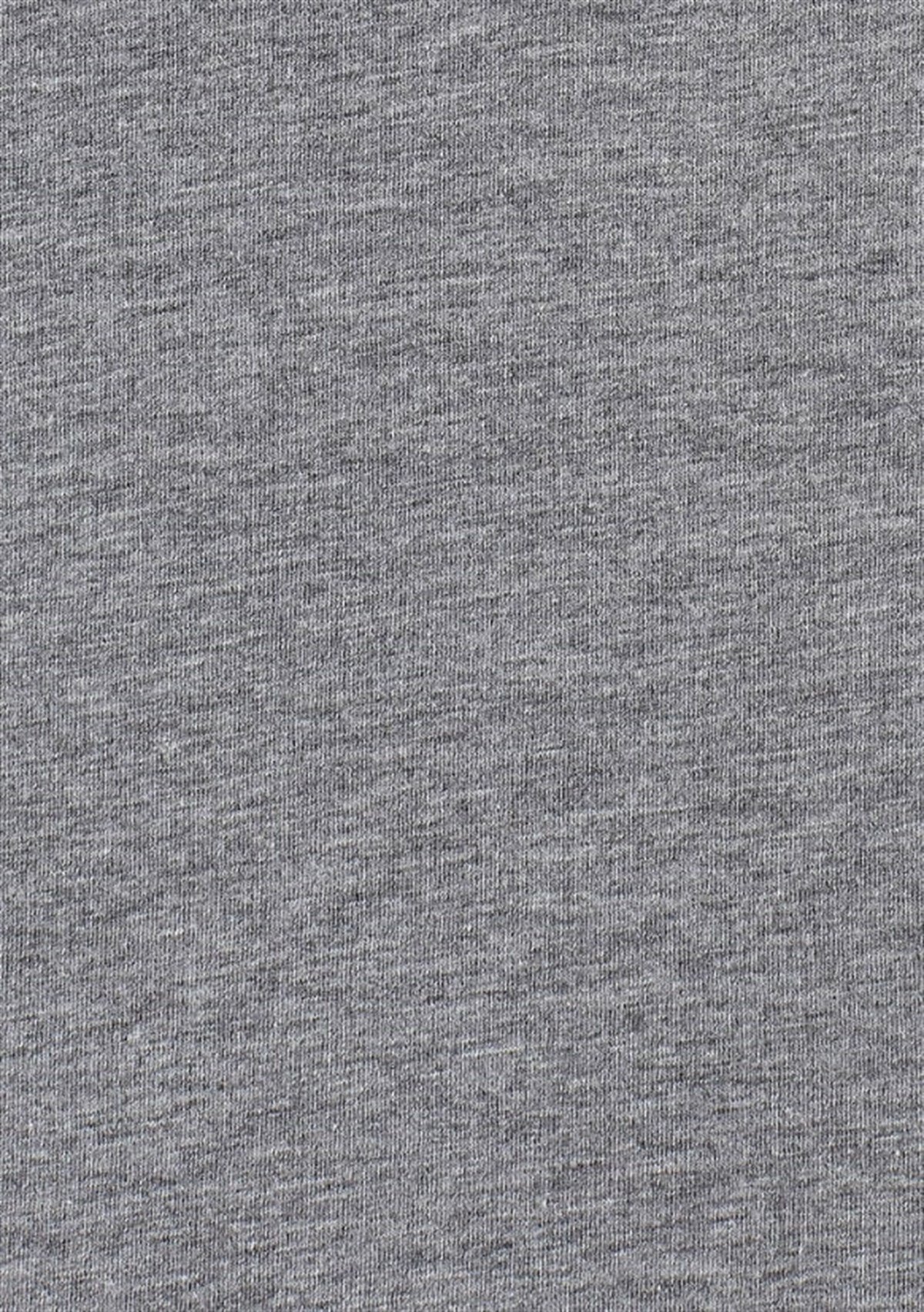 065974-30774Mavi Expert Baskılı Gri Melanj Erkek T-Shirt 065974-30774
