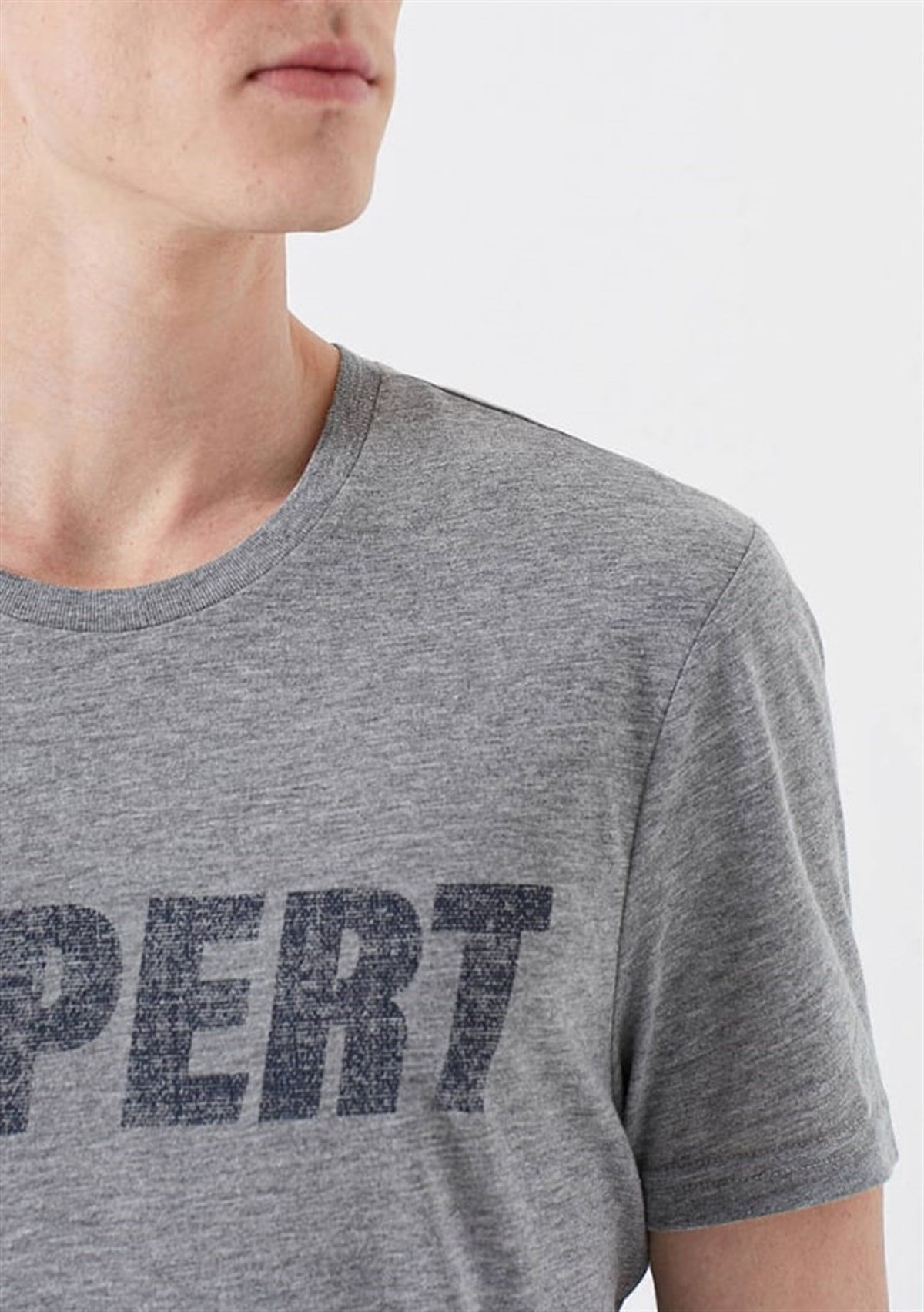 065974-30774Mavi Expert Baskılı Gri Melanj Erkek T-Shirt 065974-30774