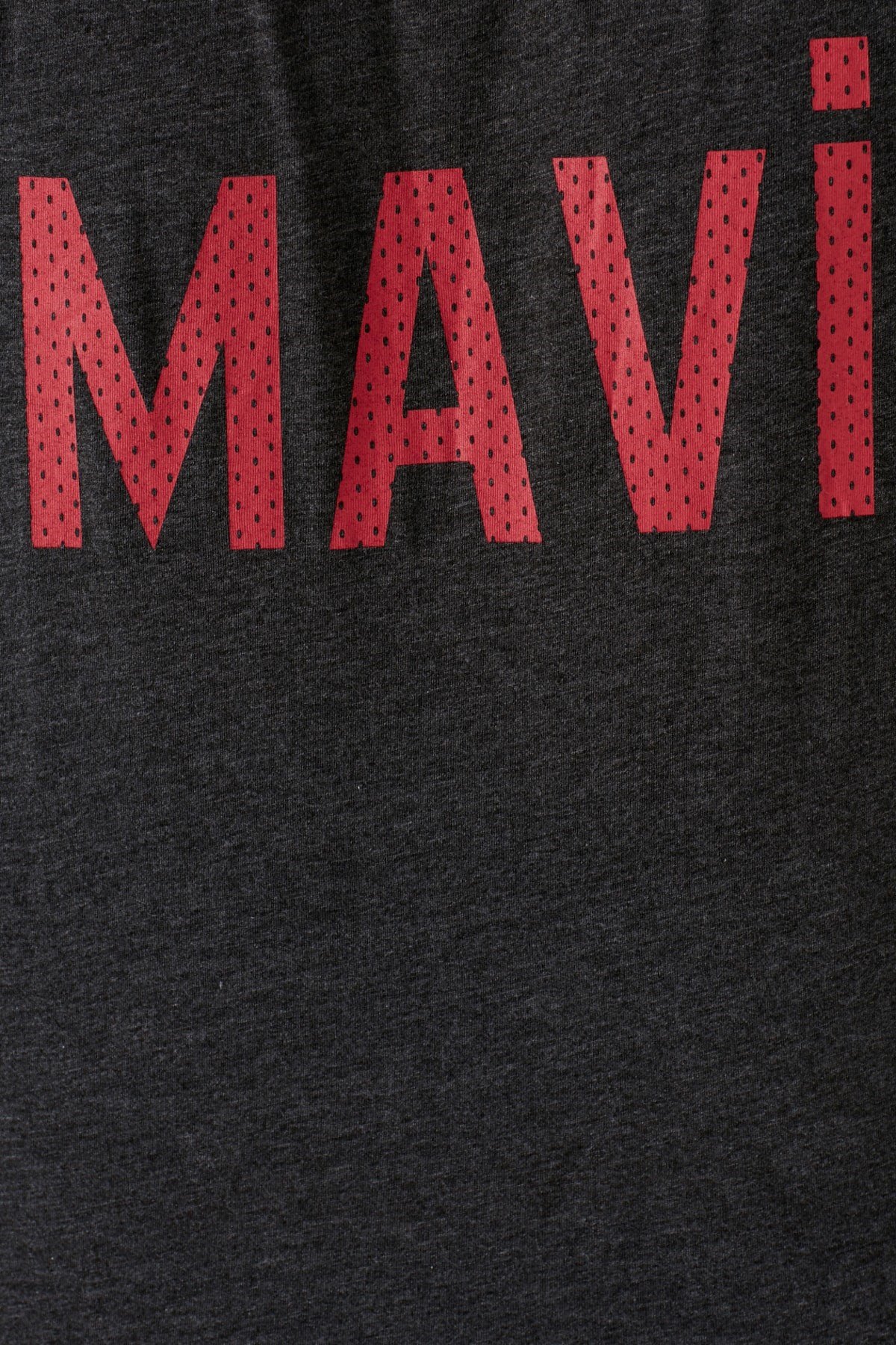 065935-30832NEBIMV3NEBIMV3|065935-30832|STDMAVİ MAVİ LOGO TİŞÖRT antrasit melanj ERKEK T-SHIRT 065935-30832-STD