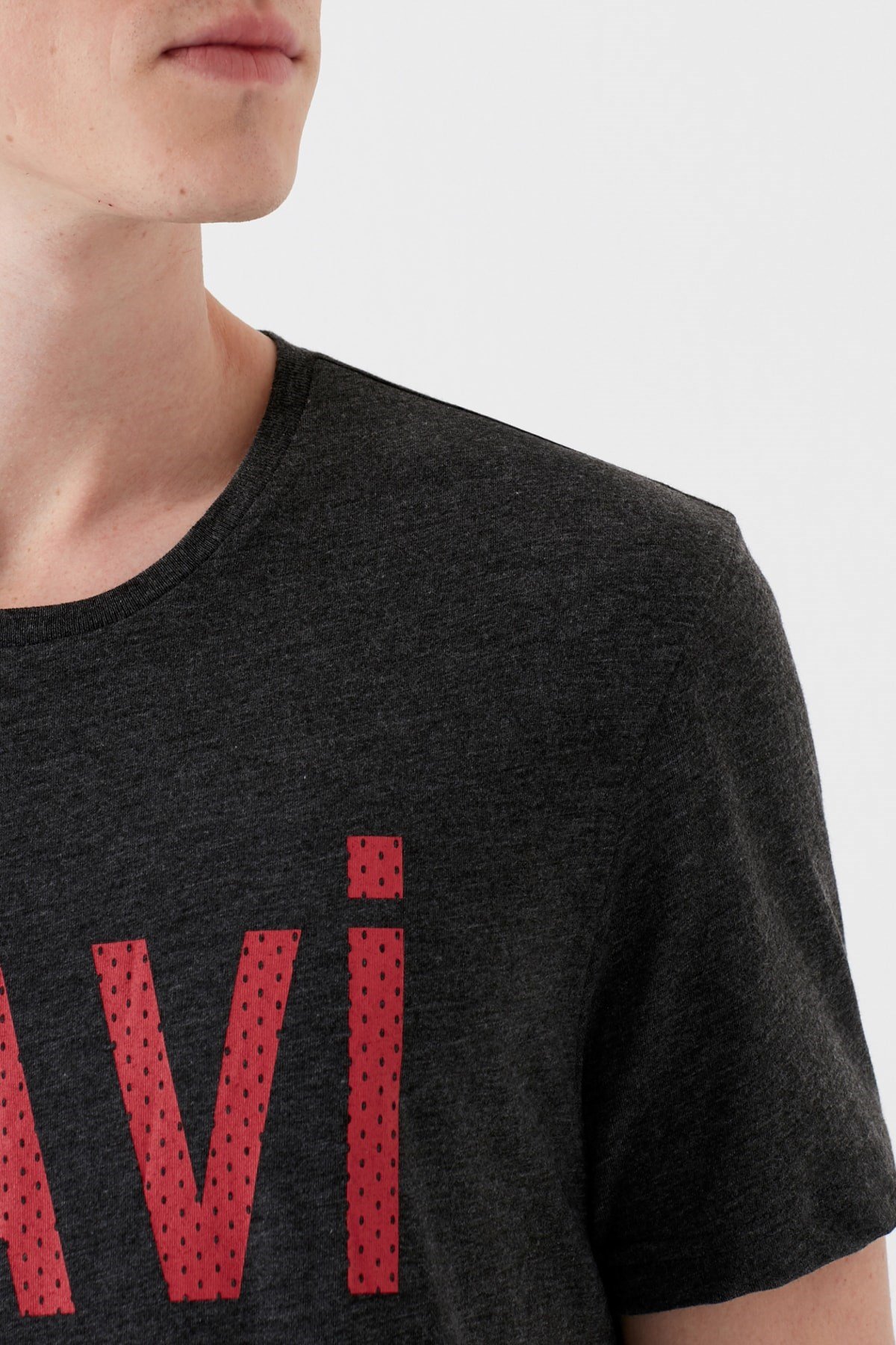065935-30832NEBIMV3NEBIMV3|065935-30832|STDMAVİ MAVİ LOGO TİŞÖRT antrasit melanj ERKEK T-SHIRT 065935-30832-STD