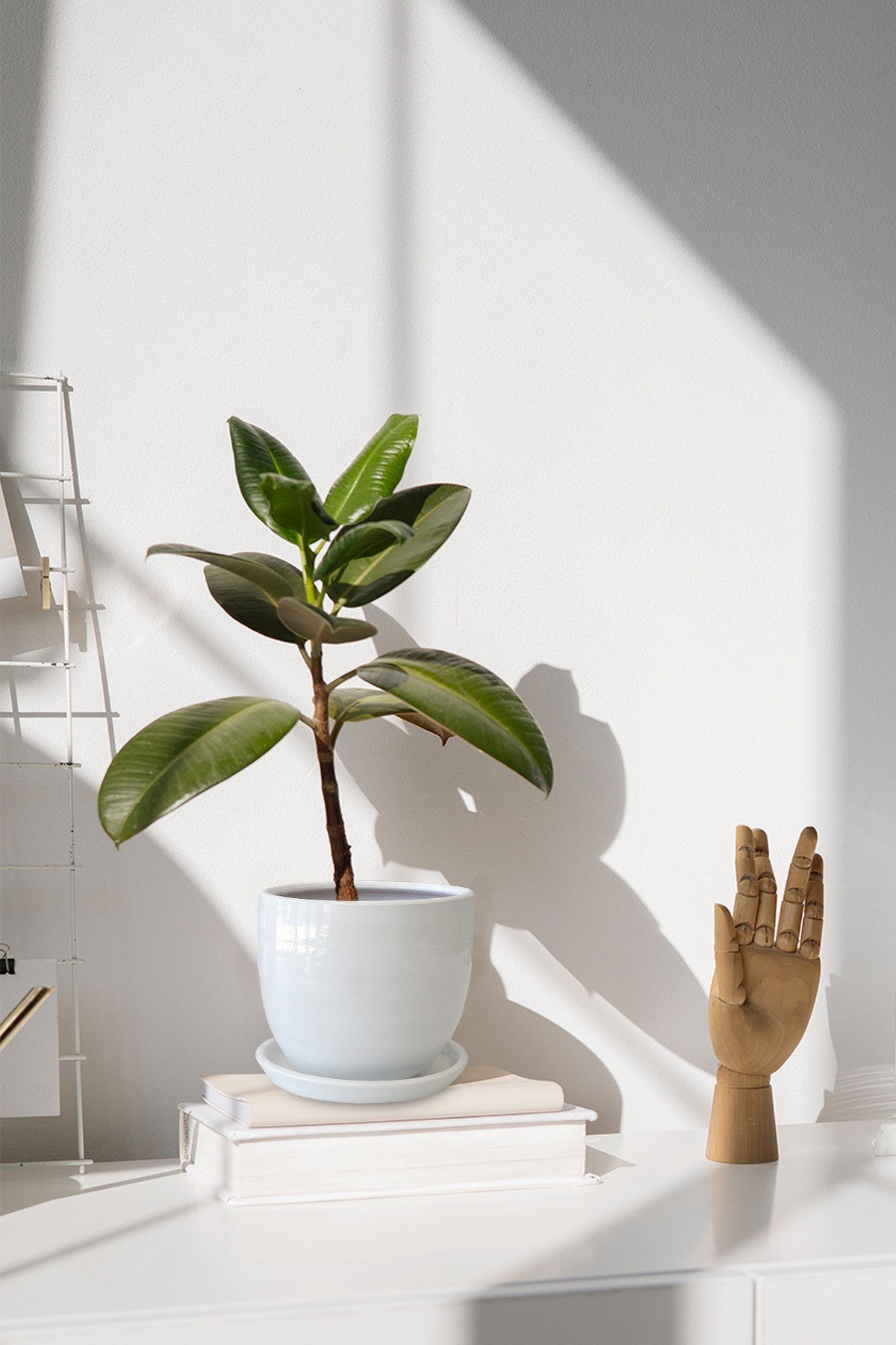 Evdek Tabaklı Beyaz U Çömlek Saksı 16x16 Cm