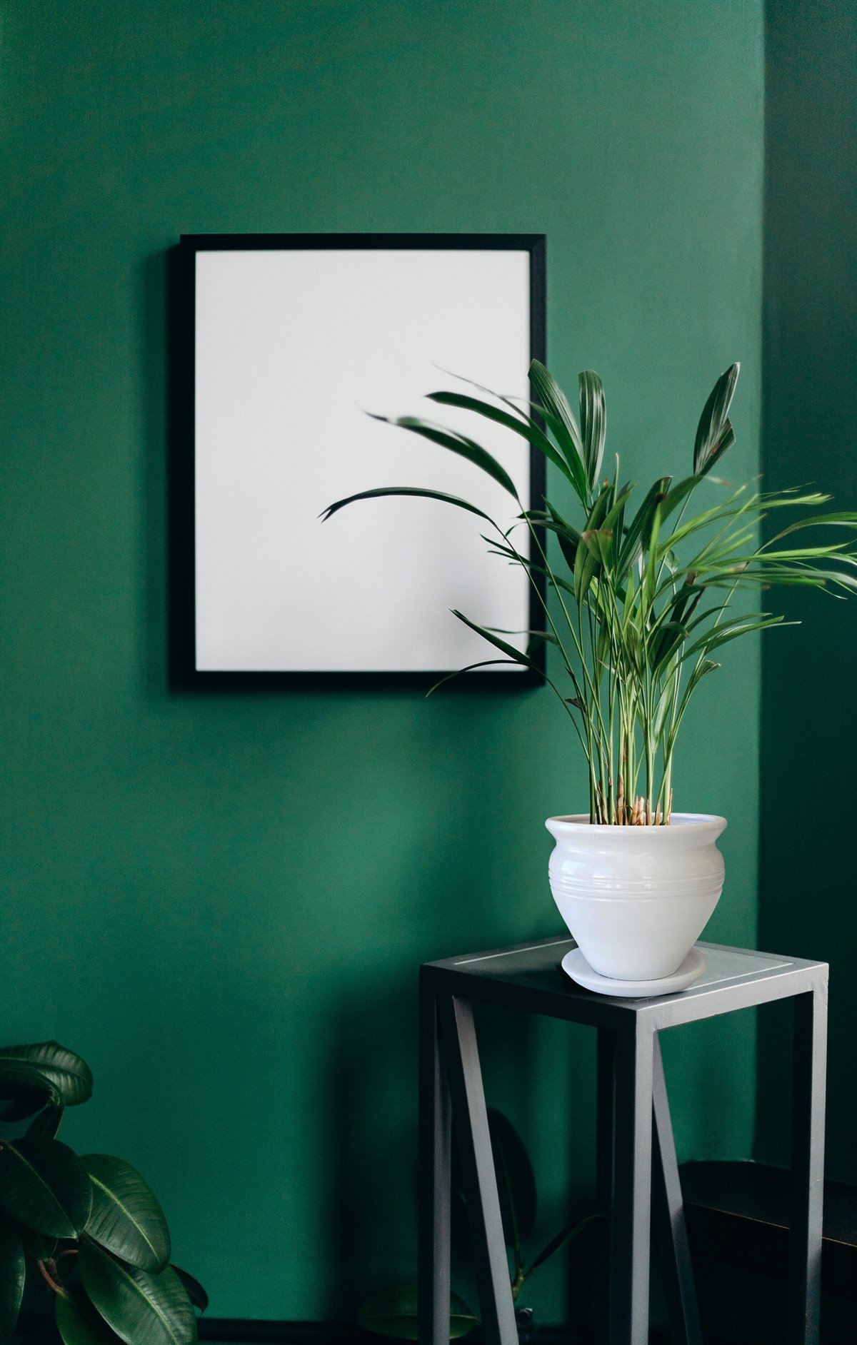 Evdek Tabaklı Klasik Beyaz Çömlek Saksı 19x19 Cm