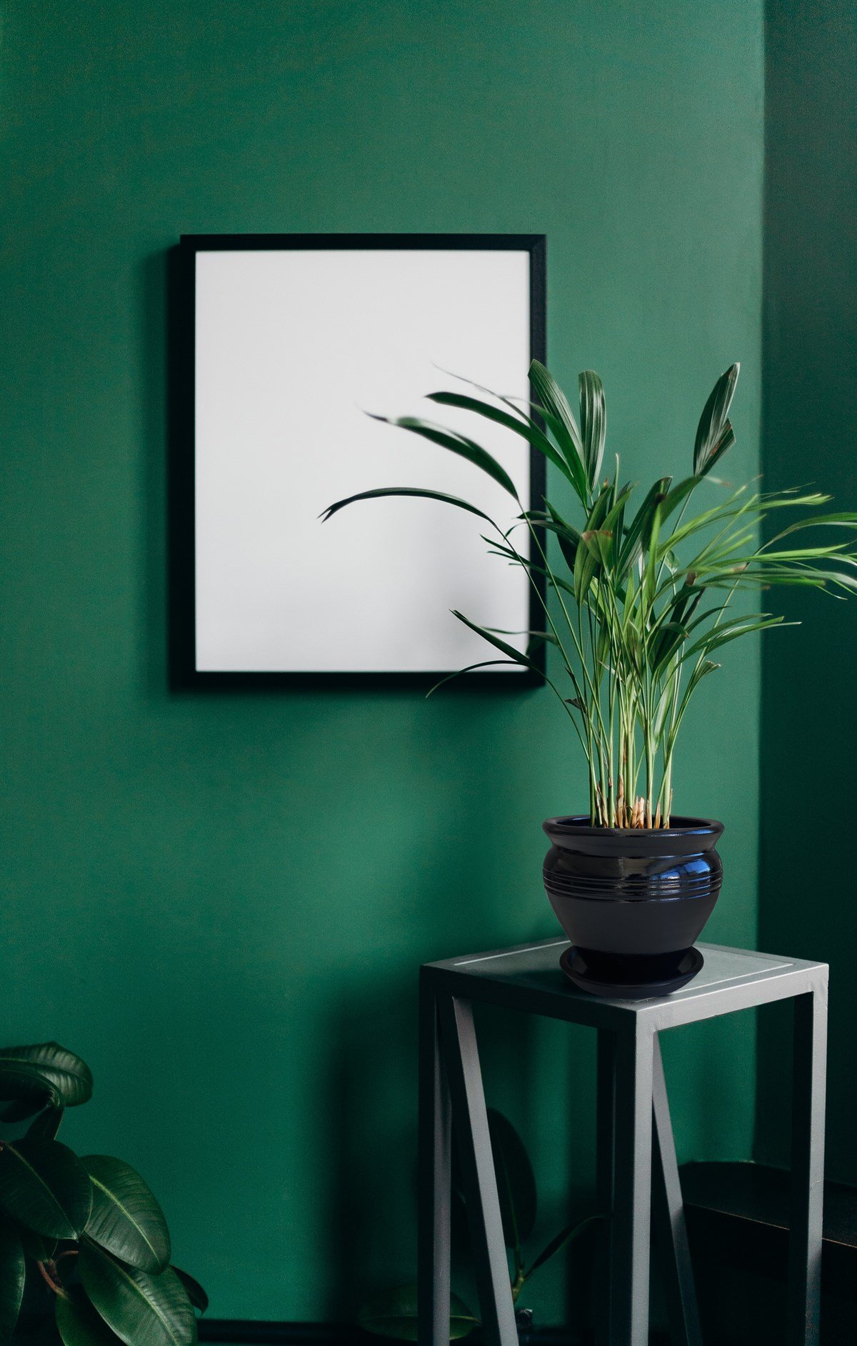 Evdek Tabaklı Klasik Siyah Çömlek Saksı 19x19 Cm