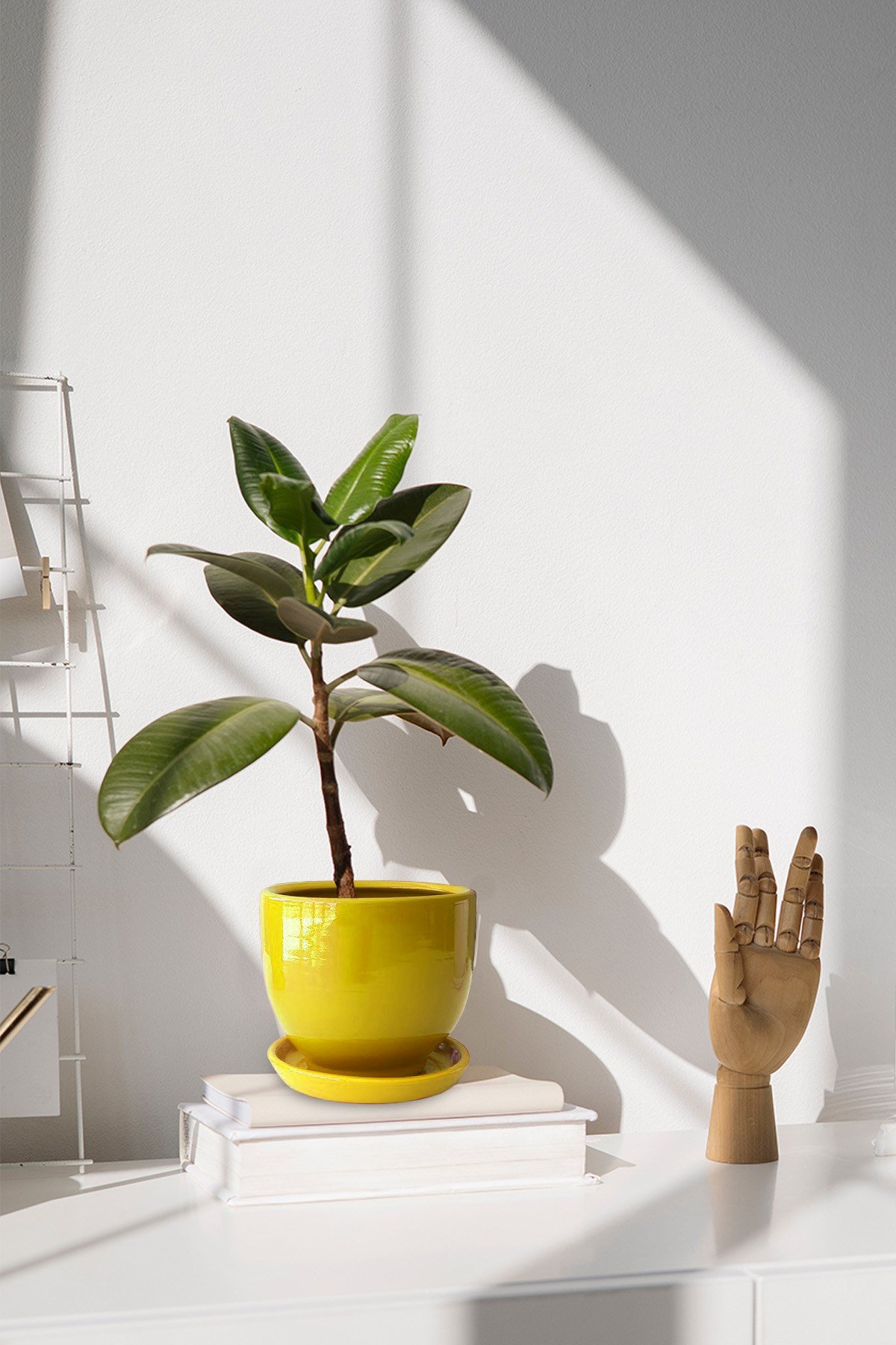 Evdek Tabaklı Sarı U Çömlek Saksı 16x16 Cm