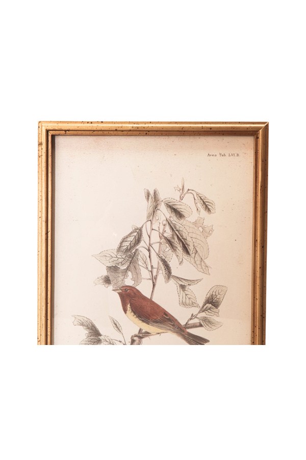 Porland Kuş Tablo 30x2x40 cm - 04STY012205