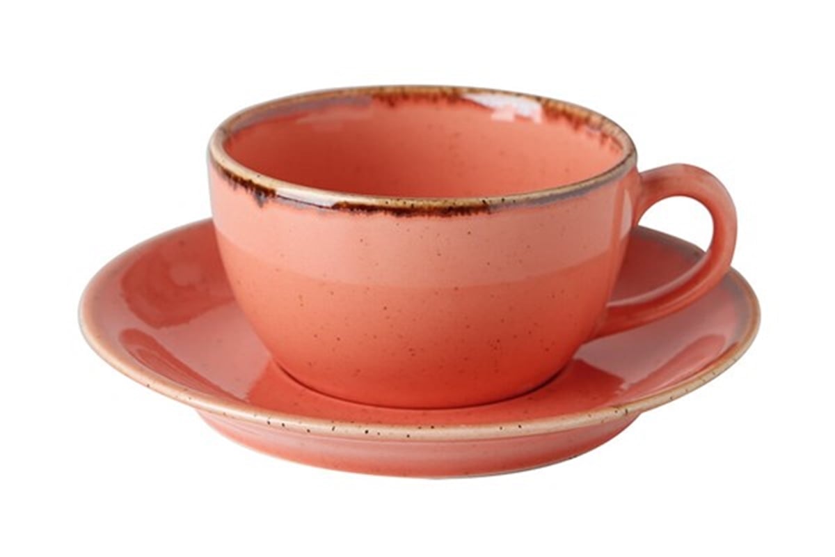 Porland Seasons Turuncu Tabaklı Çay Fincanı 207 Cc
