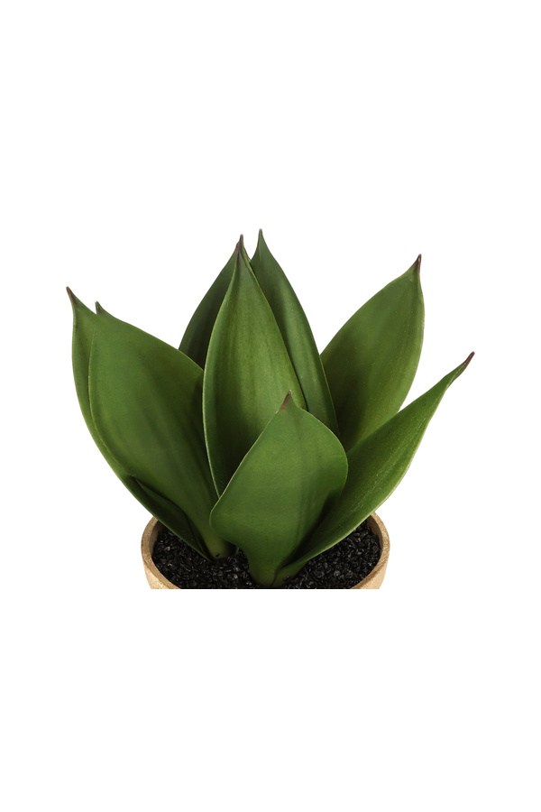 Porland Tiger Pirana Yapay Bitki 30 cm - 04STY011385