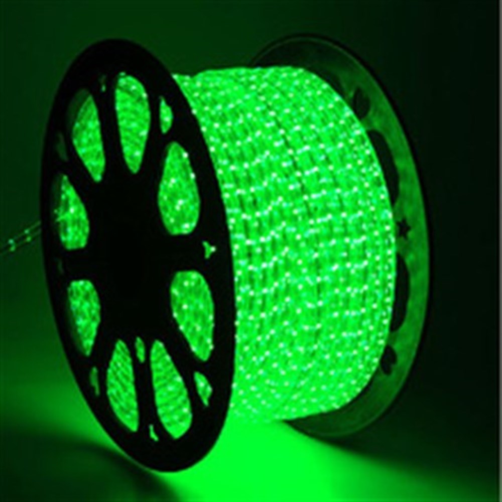3 ÇİPLİ HORTUM LED 220V