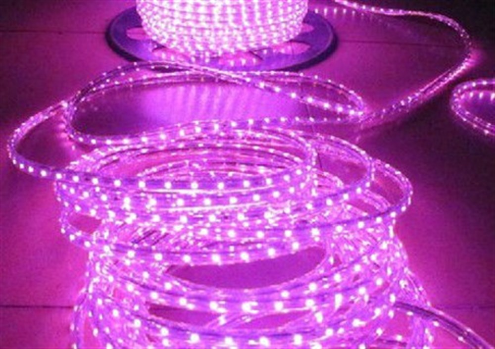 3 ÇİPLİ HORTUM LED 220V
