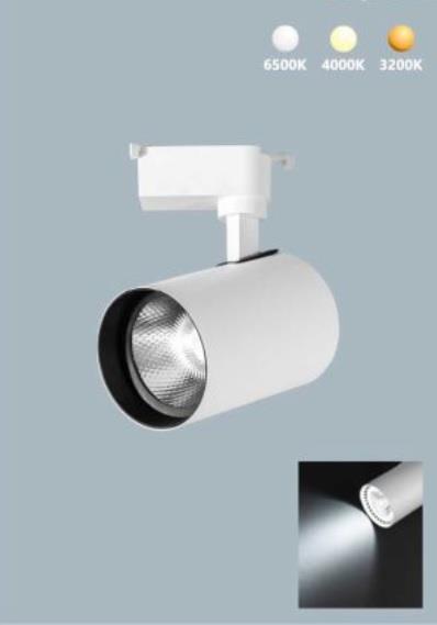 30W BEYAZ KASA RAY SPOT GÜNIŞIĞI - PARİS