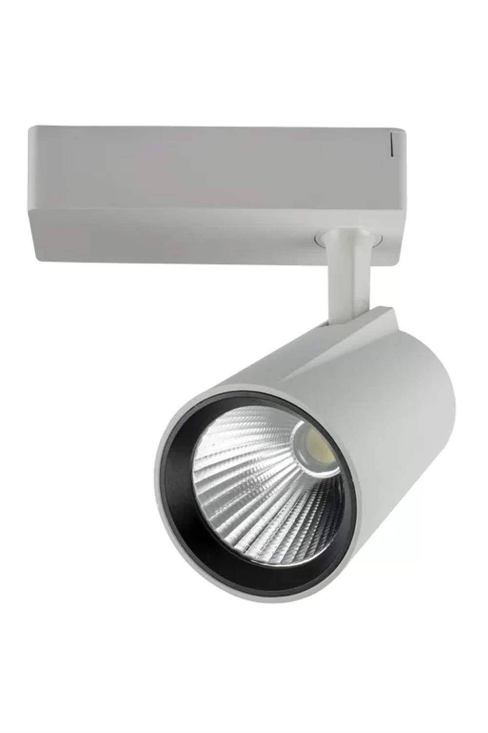 40W 3200K Gün Işığı Beyaz Lyon Led Ray Spot YL29 4102