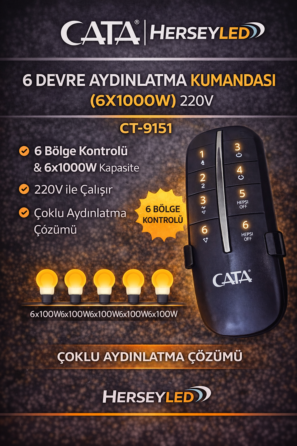 6 Devre Aydınlatma Kumandası (6X1000W) 220V  CATA Ct-9151