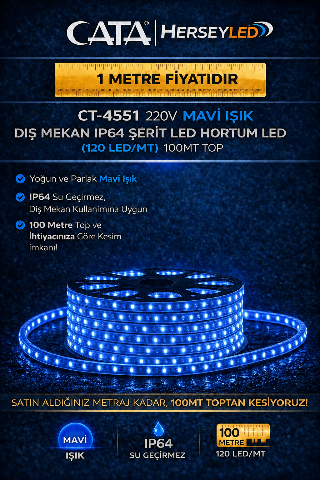 CATA CT-4551 220V HORTUM LED MAVİ IŞIK 120LED/MT