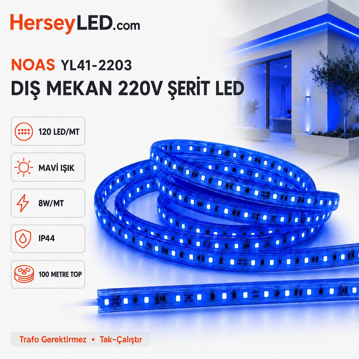 NOAS  220V 120 LEDLİ TRAFOSUZ ŞERİT LED MAVİ YL41-2203