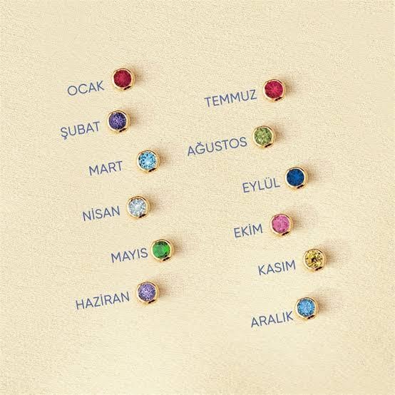 Doğum Ayı Taşlı Harf Gümüş Kolye