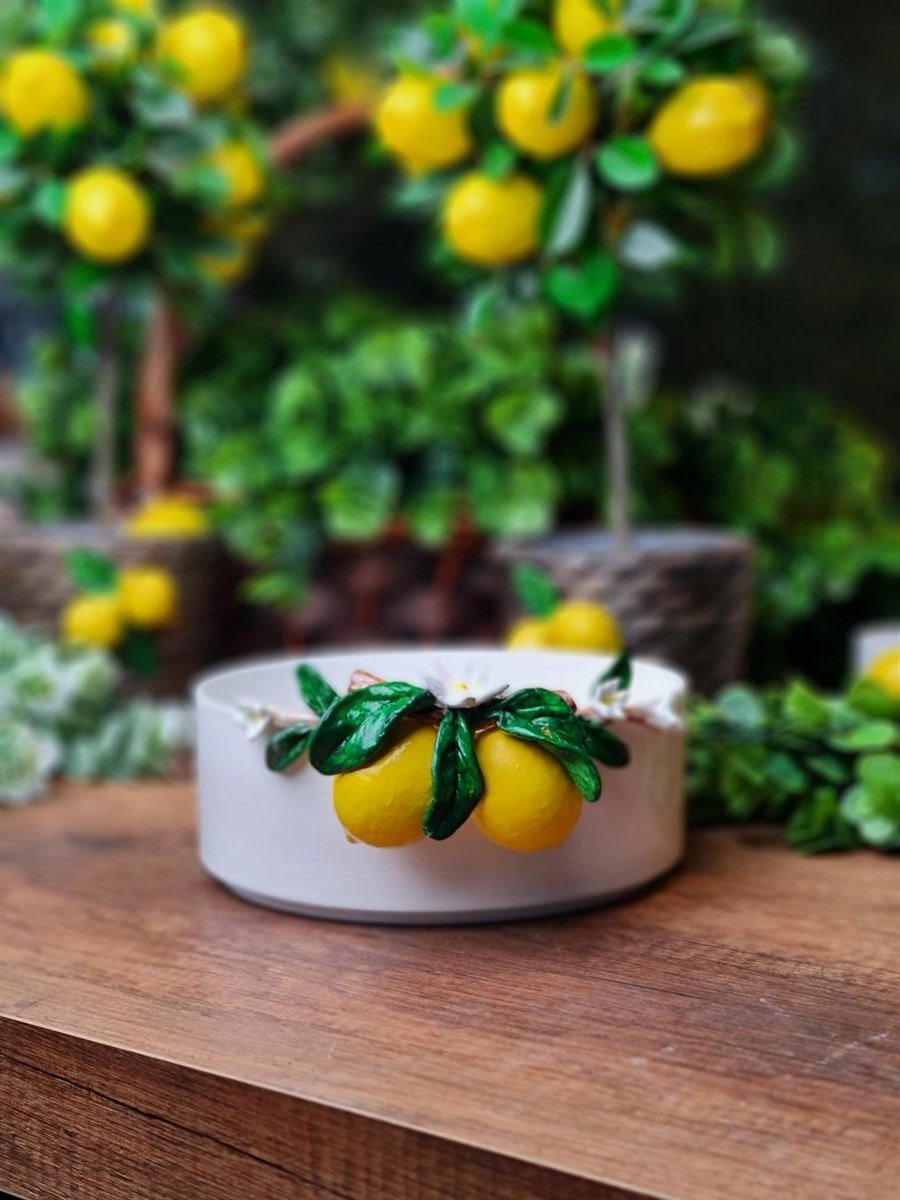 limonlu kase 22 cm