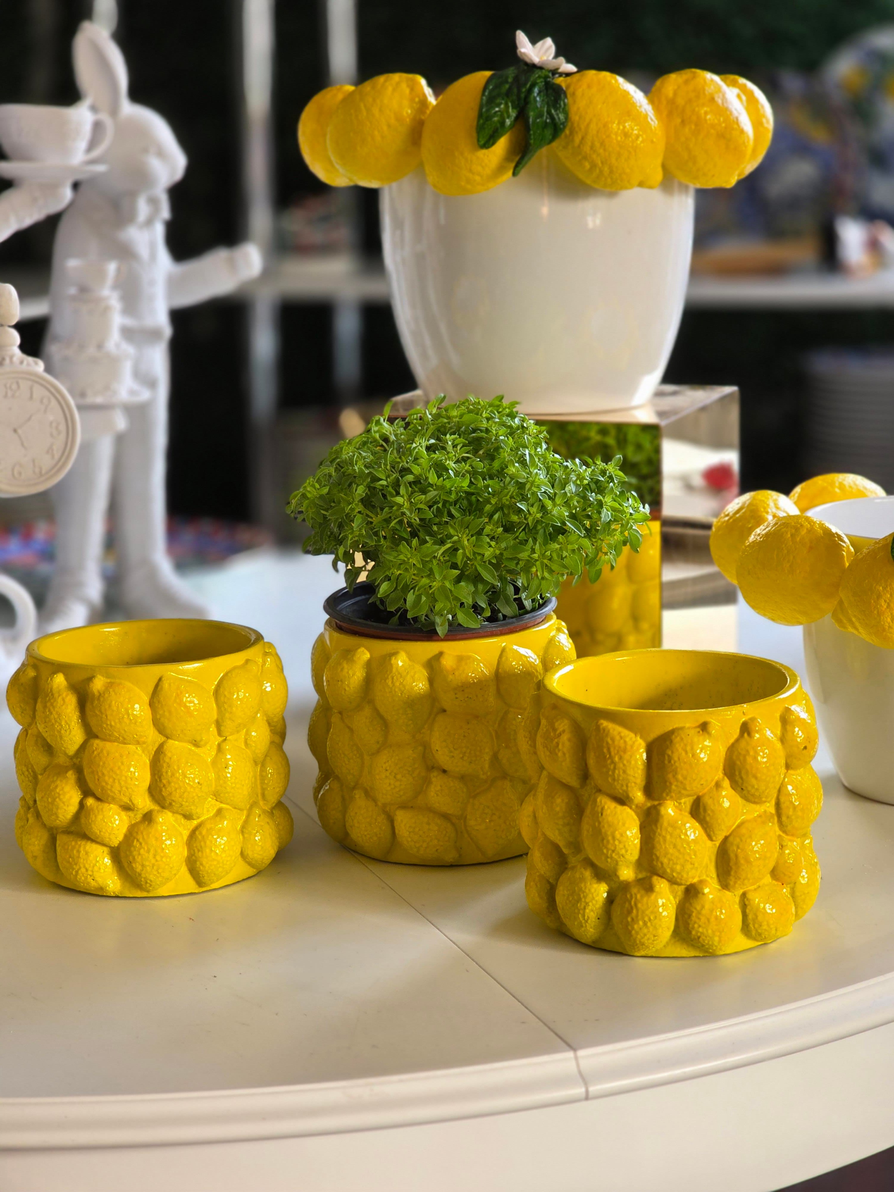 limonlu saksı 14*12 cm