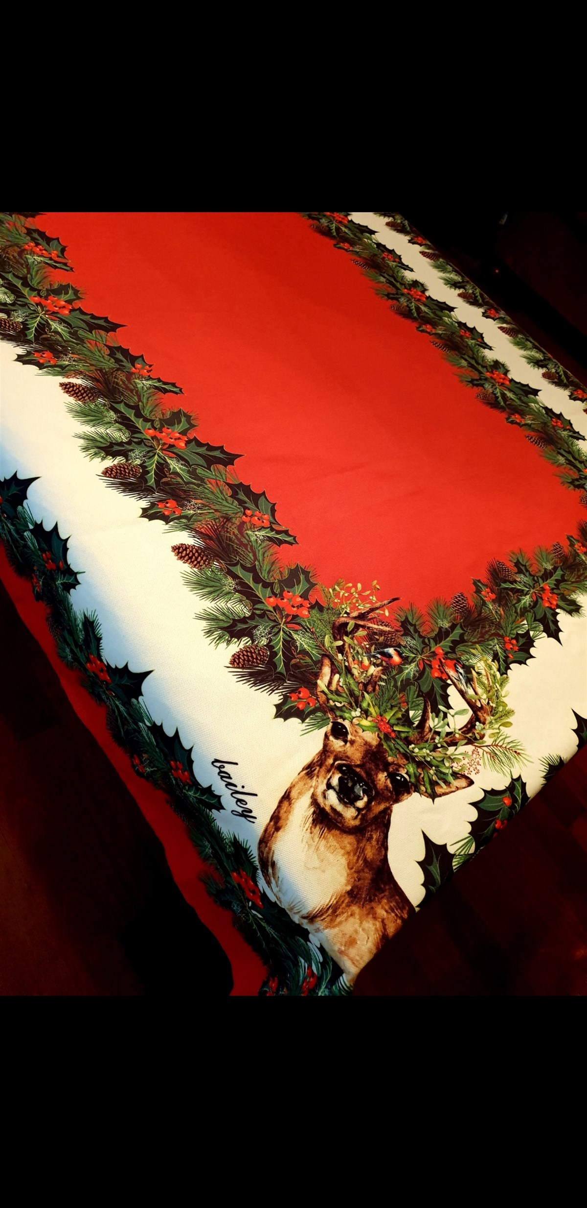 north kırmızı masa örtüsü