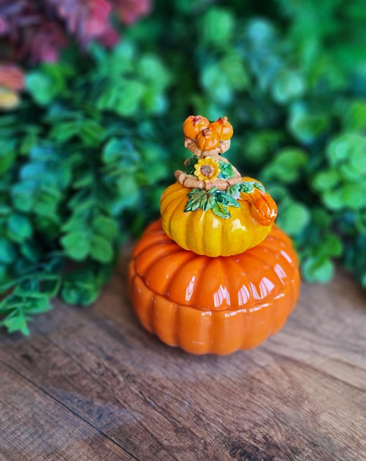 Pumpkin kapaklı kase