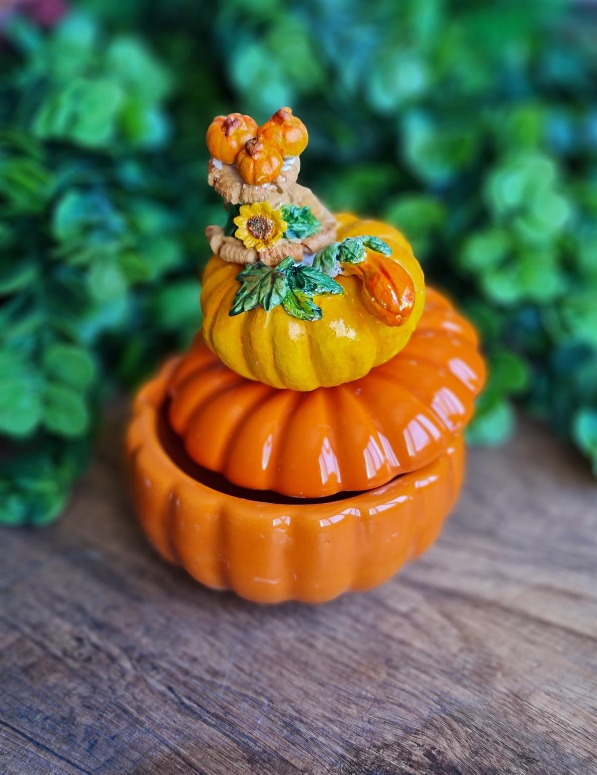 Pumpkin kapaklı kase