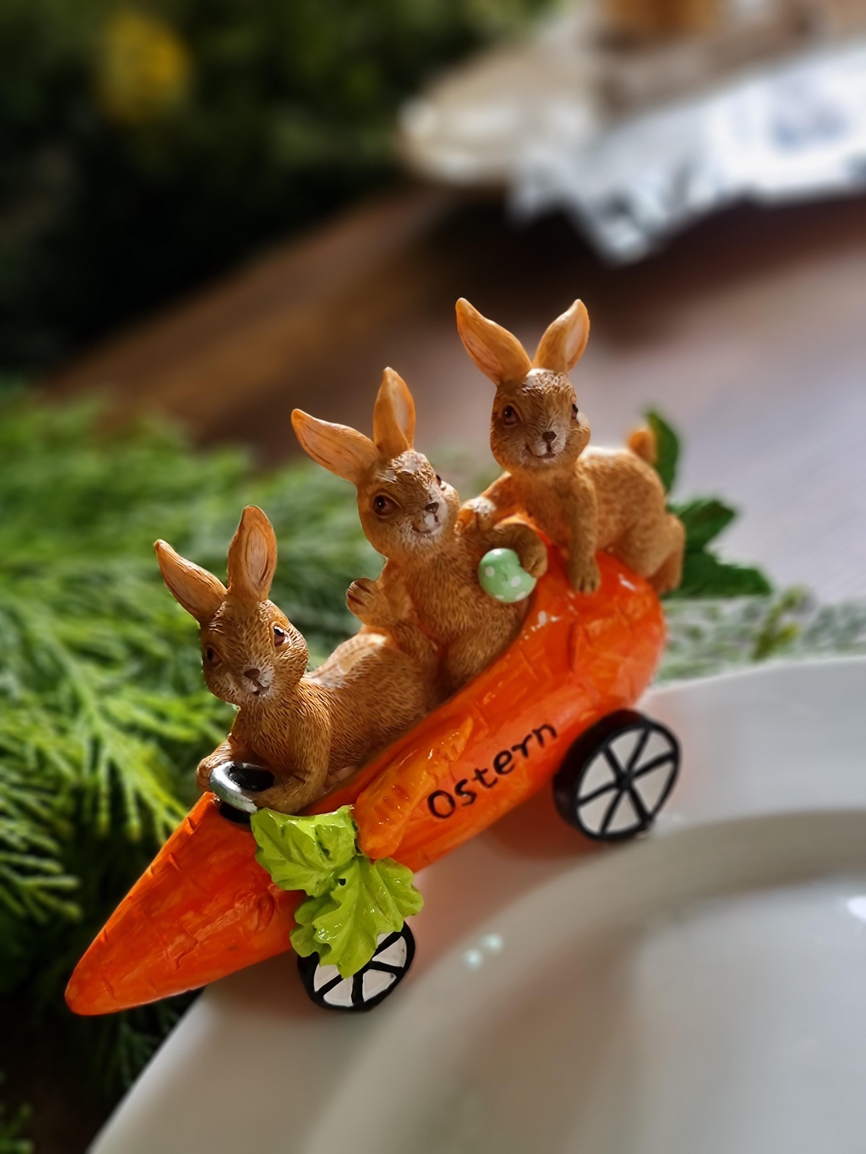 Rabbit car kayık 40 cm tabak