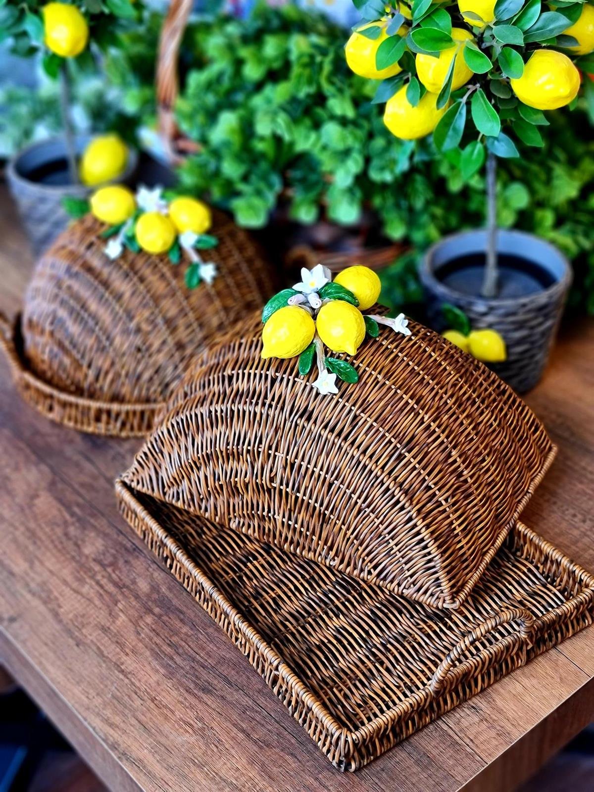 seramik limonlu rattan tepsili fanus 35*25 cm