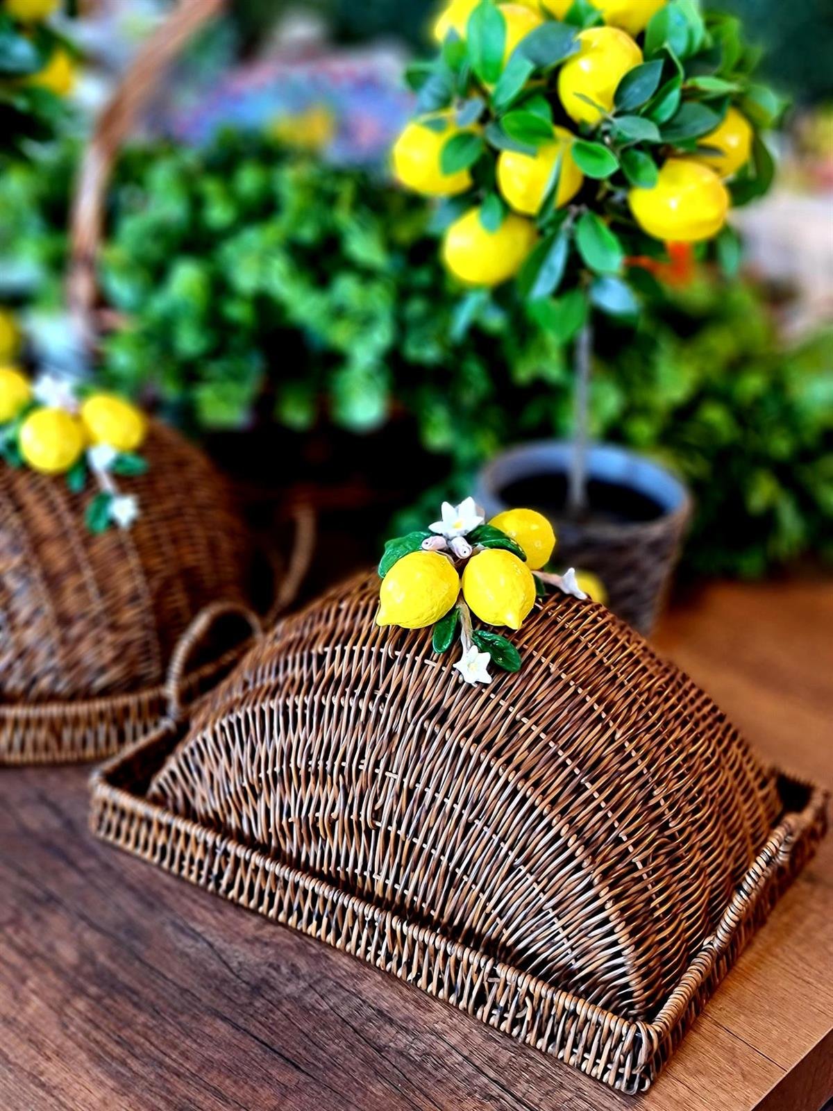 seramik limonlu rattan tepsili fanus 35*25 cm