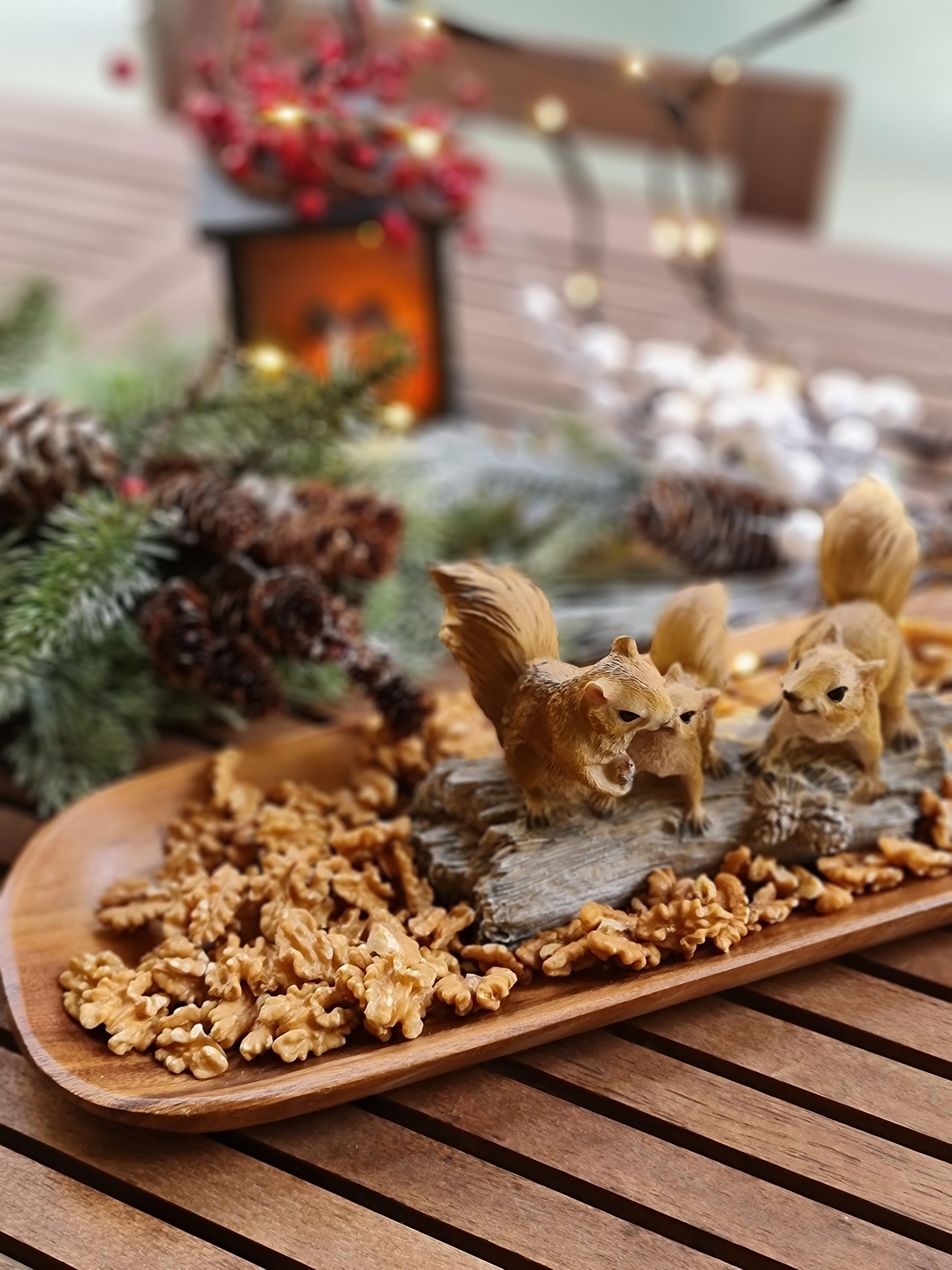 Sincap kuruyemişlik 47*17 cm