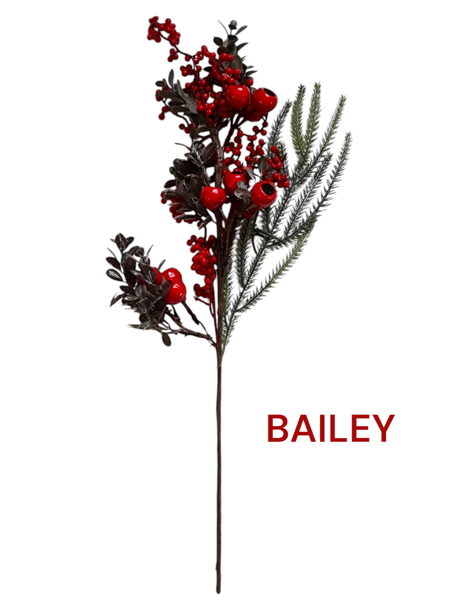 Snow berry dal 50 cm