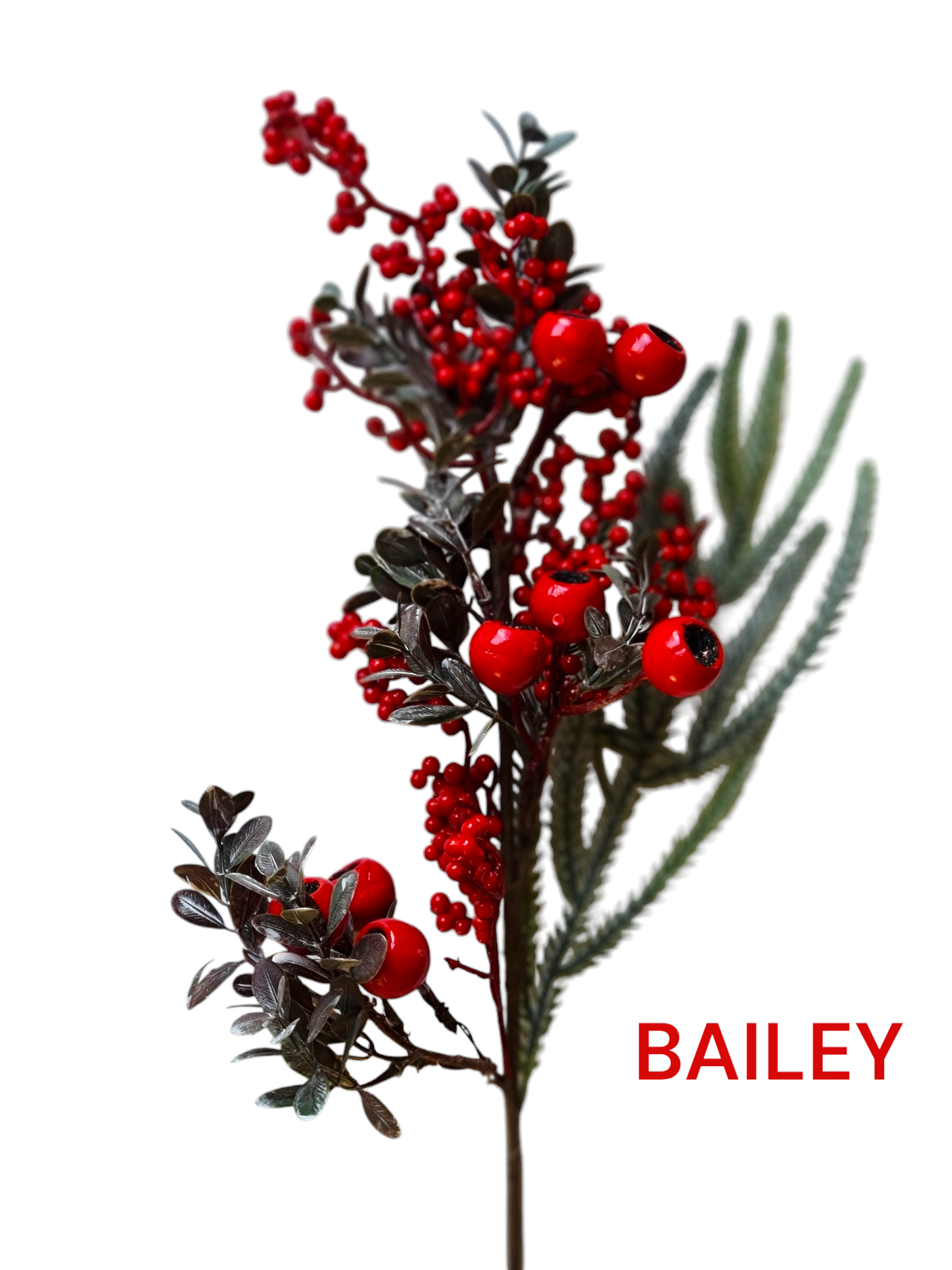 Snow berry dal 50 cm