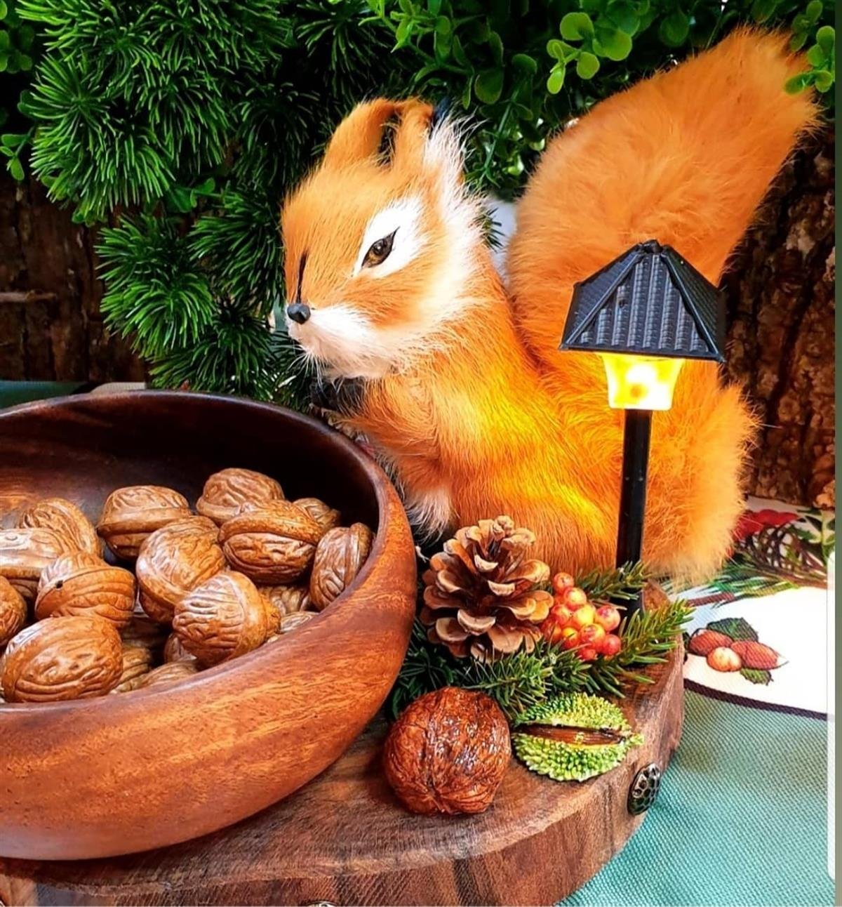 squirrel cevizlik 30 cm