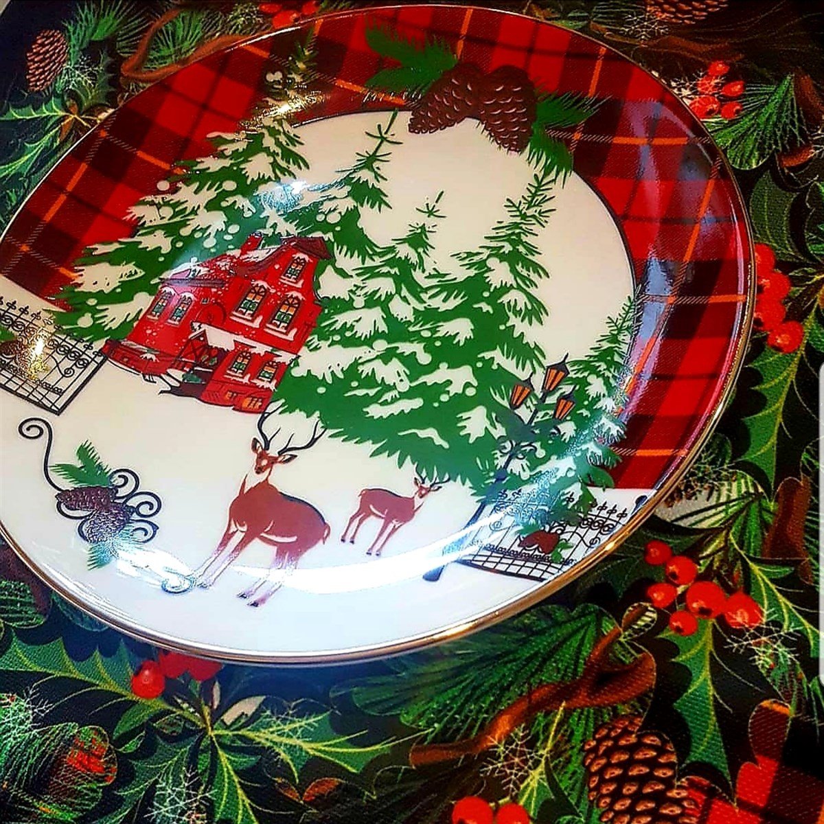 WİNTER TALE TABAK 23 CM