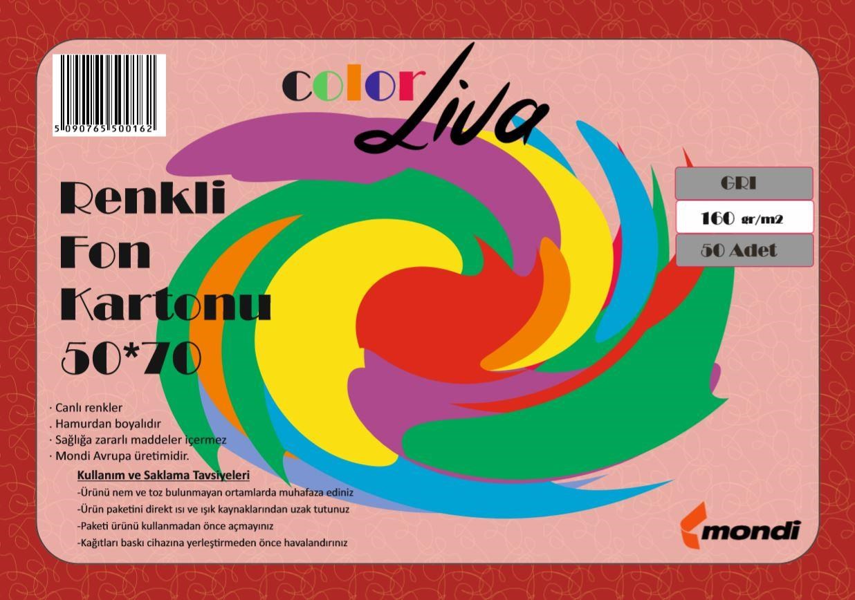 Fon Kartonu Color Liva Mondi Fon Kartonu Gri 50X70 100'Lü Paket Satın Al