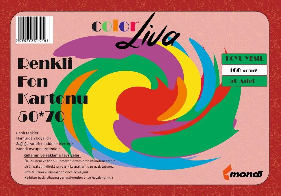 Fon Kartonu Color Liva Mondi Fon Kartonu Koyu Yeşil 50X70 100'lü Paket Satın Al