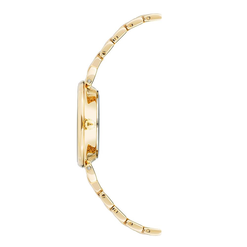 Kadın Kol Saatleri ANNE KLEIN AK-3872CHGB Kadın Kol Saati Satın Al