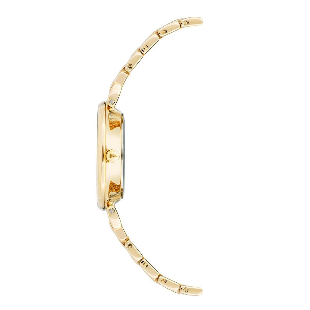 Kadın Kol Saatleri ANNE KLEIN AK-3872CHGB Kadın Kol Saati Satın Al