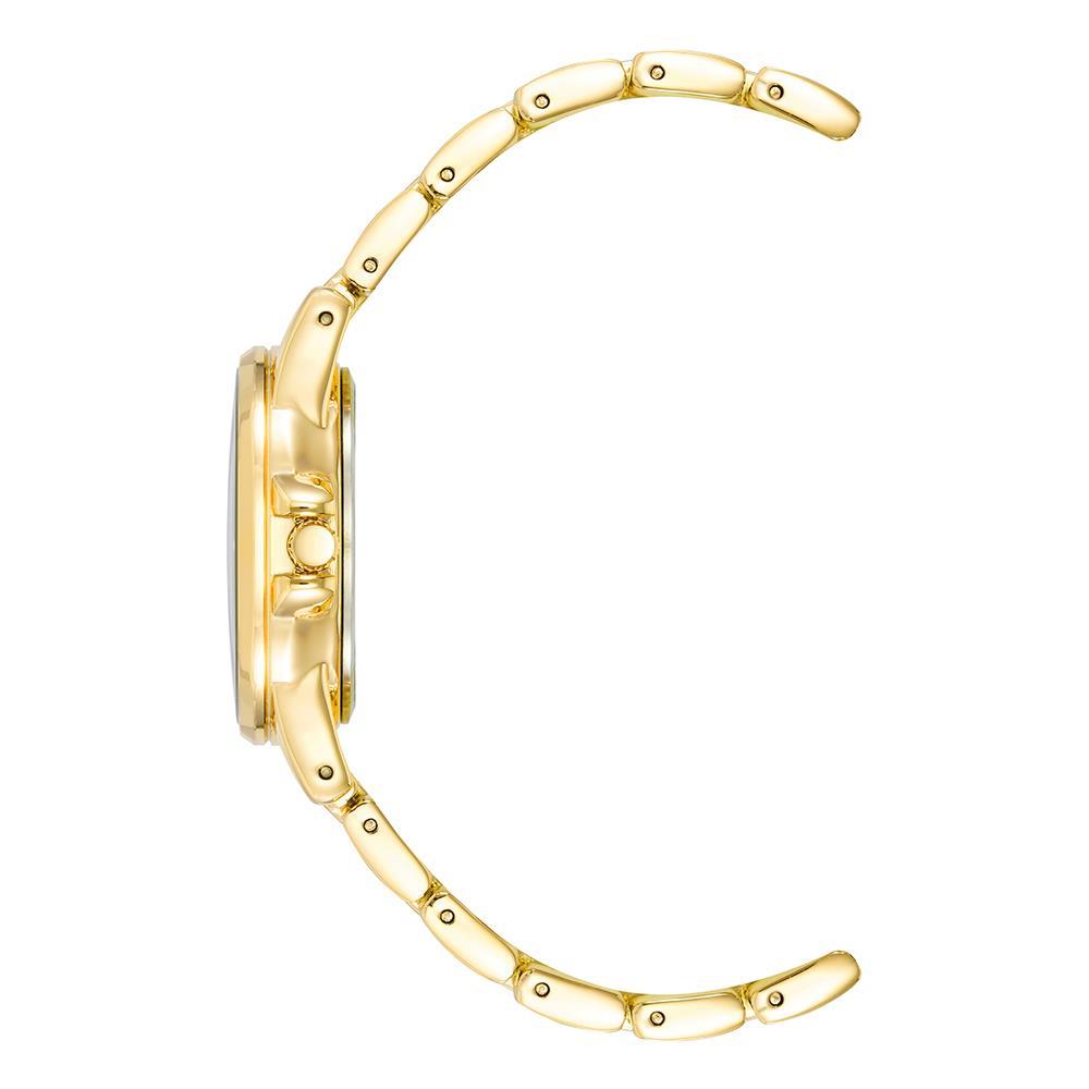 Kadın Kol Saatleri ANNE KLEIN AK-4132RQGB Kadın Kol Saati Satın Al