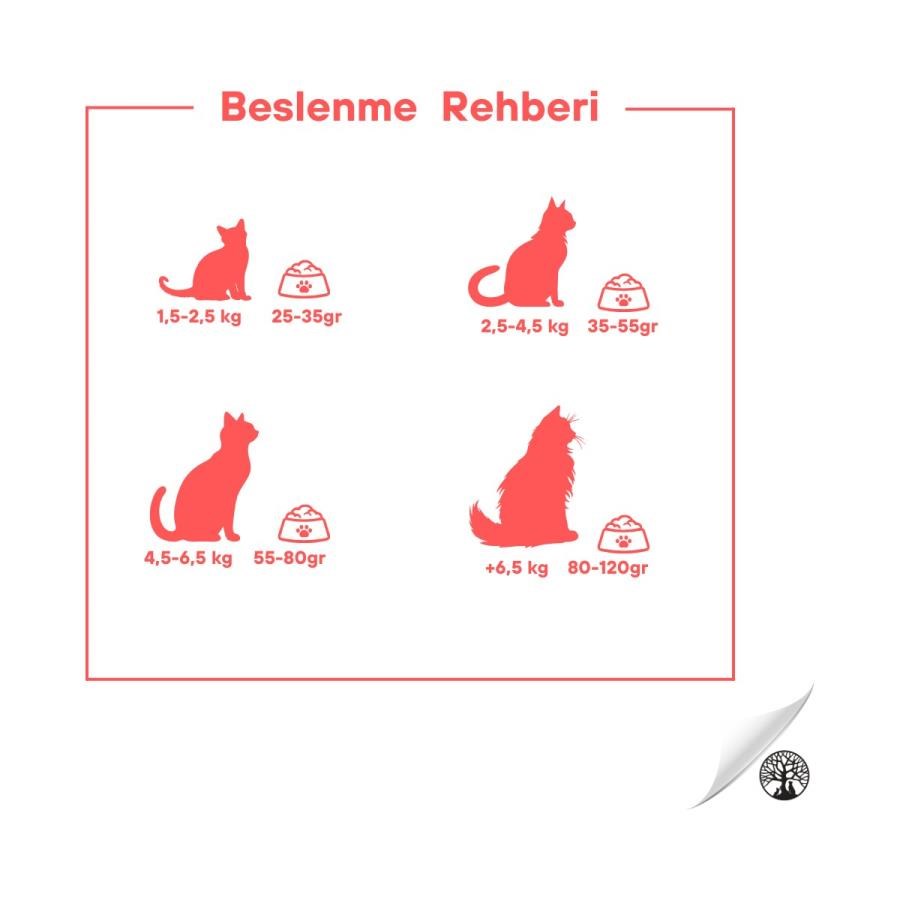 Kedi Maması Pro Wonders Somonlu ve Pirinçli 15 kg Premium Kısırlaştırılmış Kedi Maması Satın Al