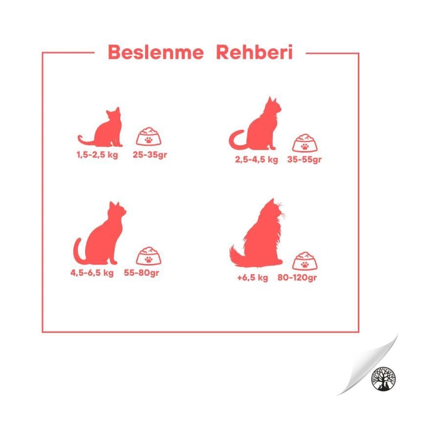 Kedi Maması Pro Wonders Somonlu ve Pirinçli 15 kg Premium Kısırlaştırılmış Kedi Maması Satın Al