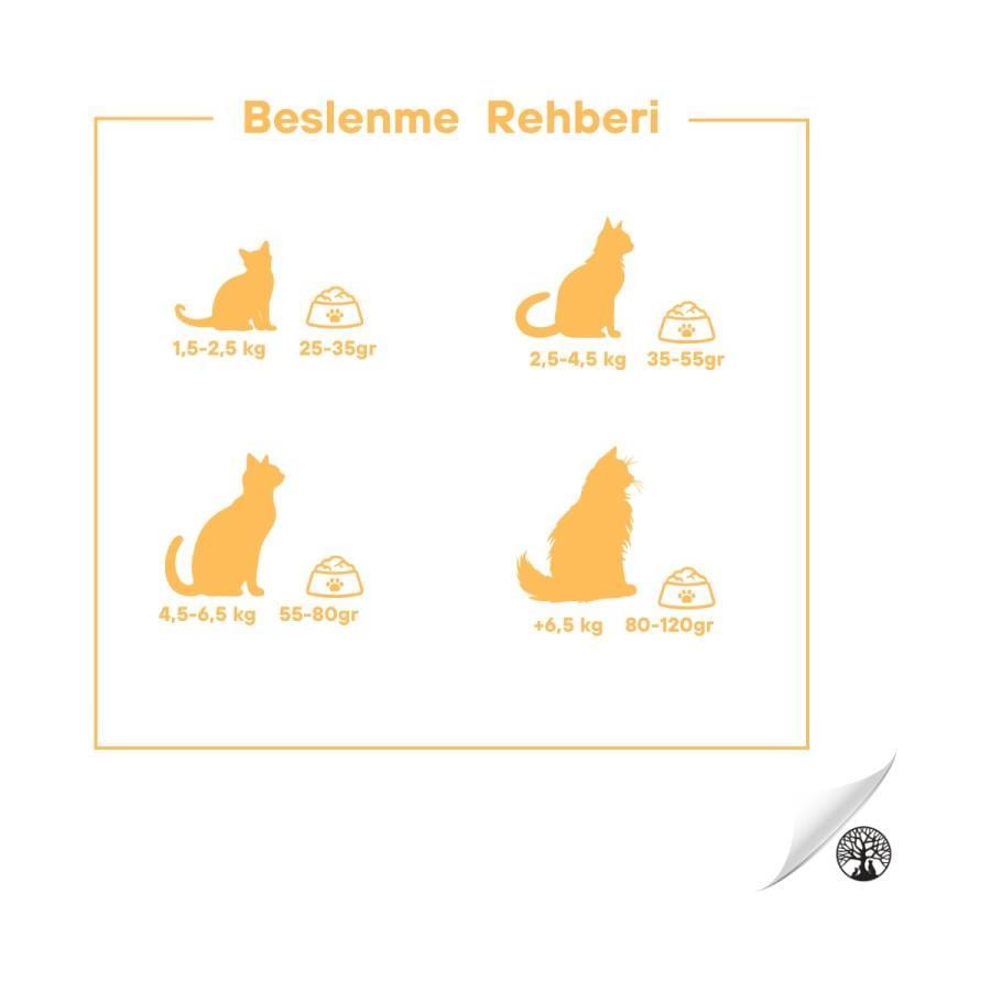 Kedi Maması Pro Wonders Tavuklu Yetişkin Premium Kedi Maması 15 kg Satın Al