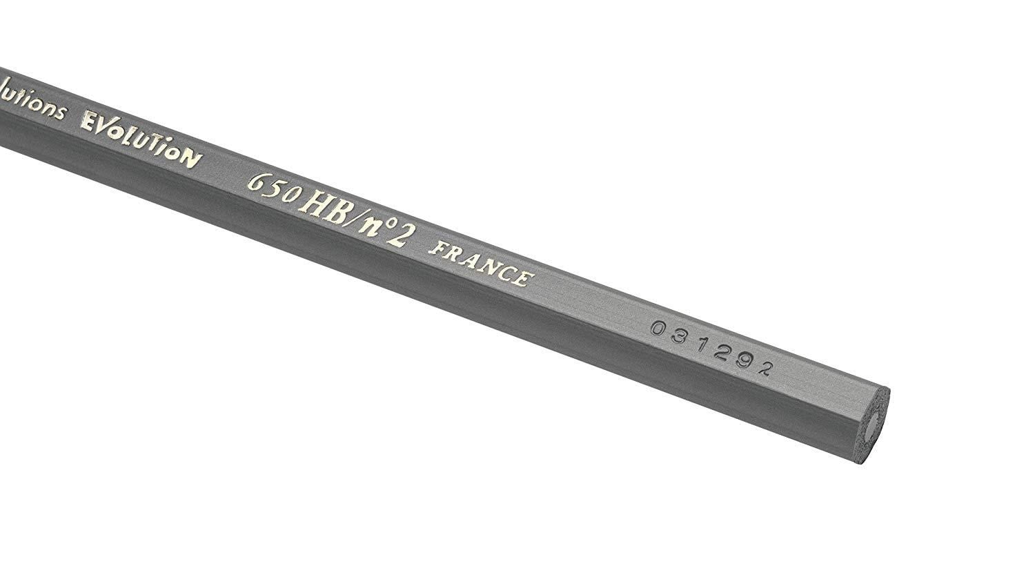Kurşun Kalemler Bic Evolutıon Black Kurşun Kalem 12'li Paket Satın Al