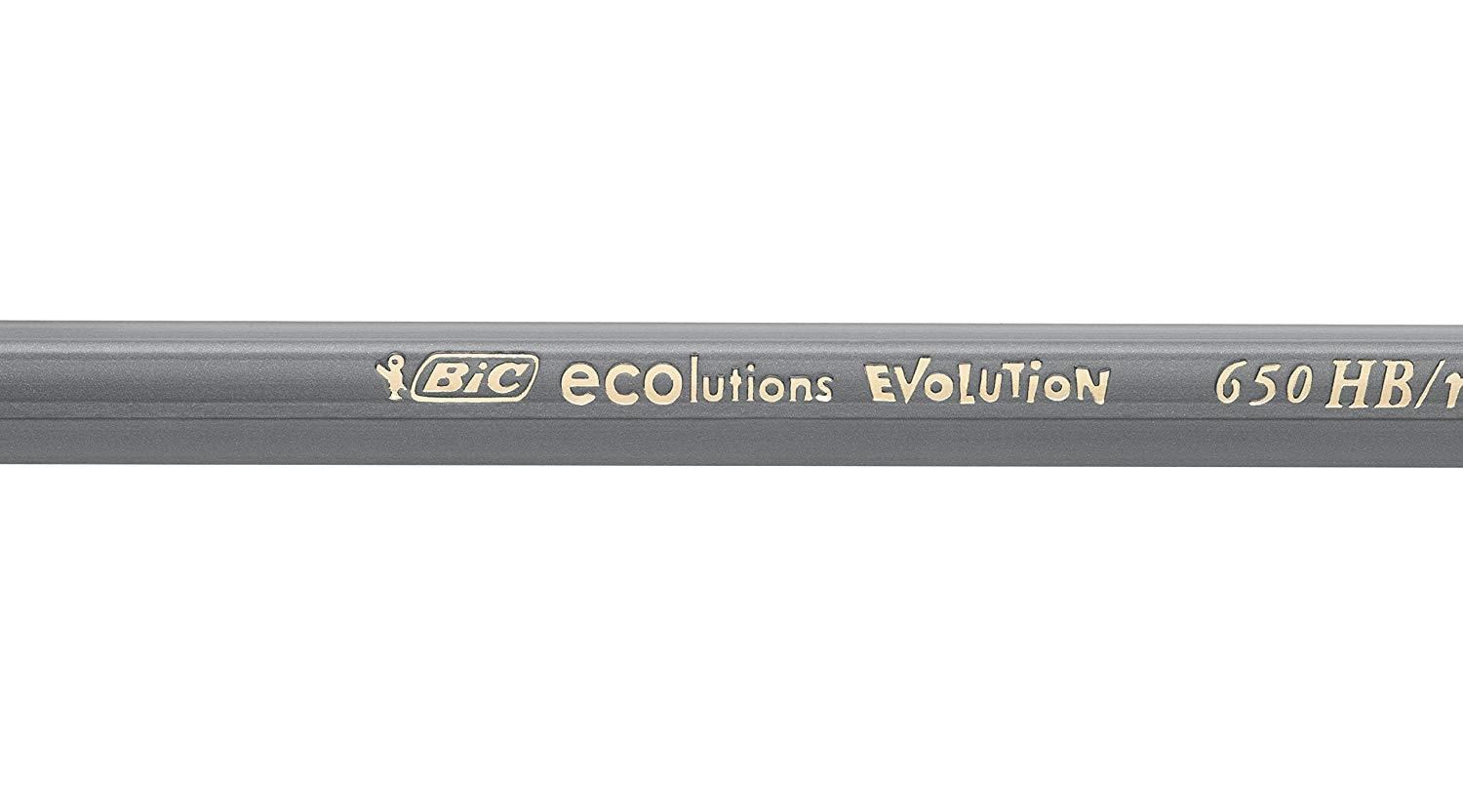 Kurşun Kalemler Bic Evolutıon Black Kurşun Kalem 12'li Paket Satın Al