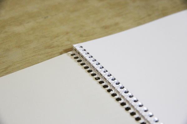 Sanatsal Resim Defterleri Color Liva Ekonomik Resim Defteri 17X24 15 Yaprak 6'Lı Satın Al