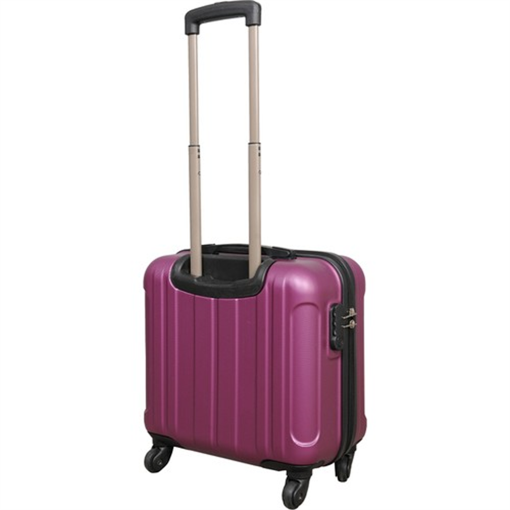 Wexta WX-220 Kabin Tipi Hostes Pilot Tipi Valiz Abs Mürdüm