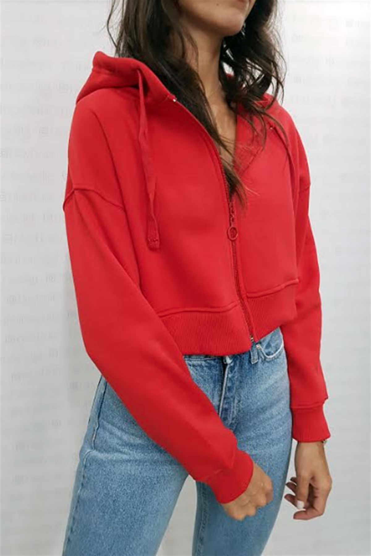 Kapşonlu Fermuarlı Mini Sweatshirt