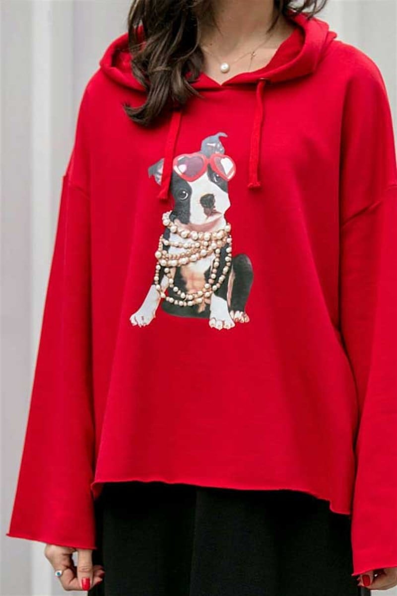 Kapşonlu Ve Baskılı Sweatshirt