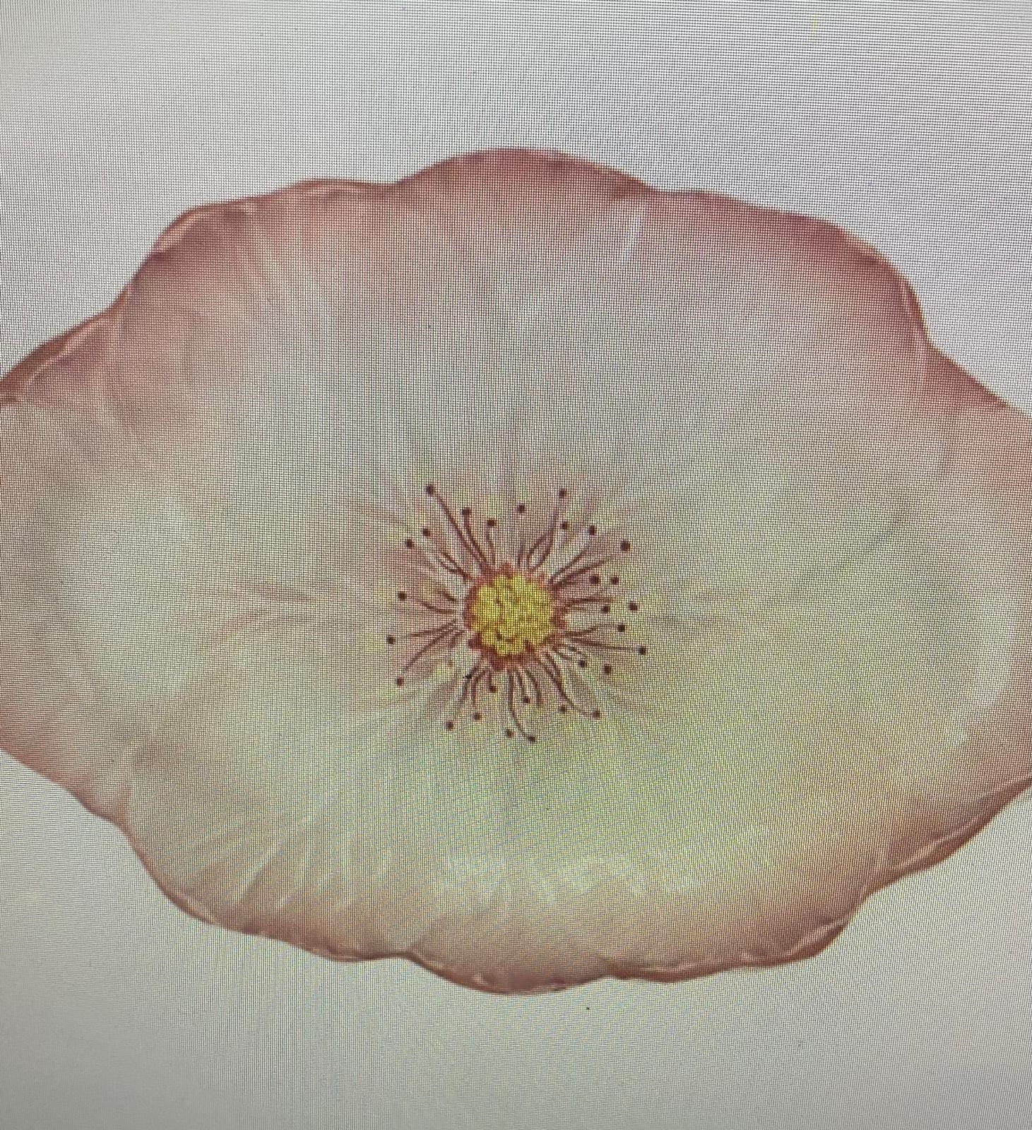 Baci Milano Botanica Çiçek Desenli Melamin Pembe Oval Tabak 40,5 cm