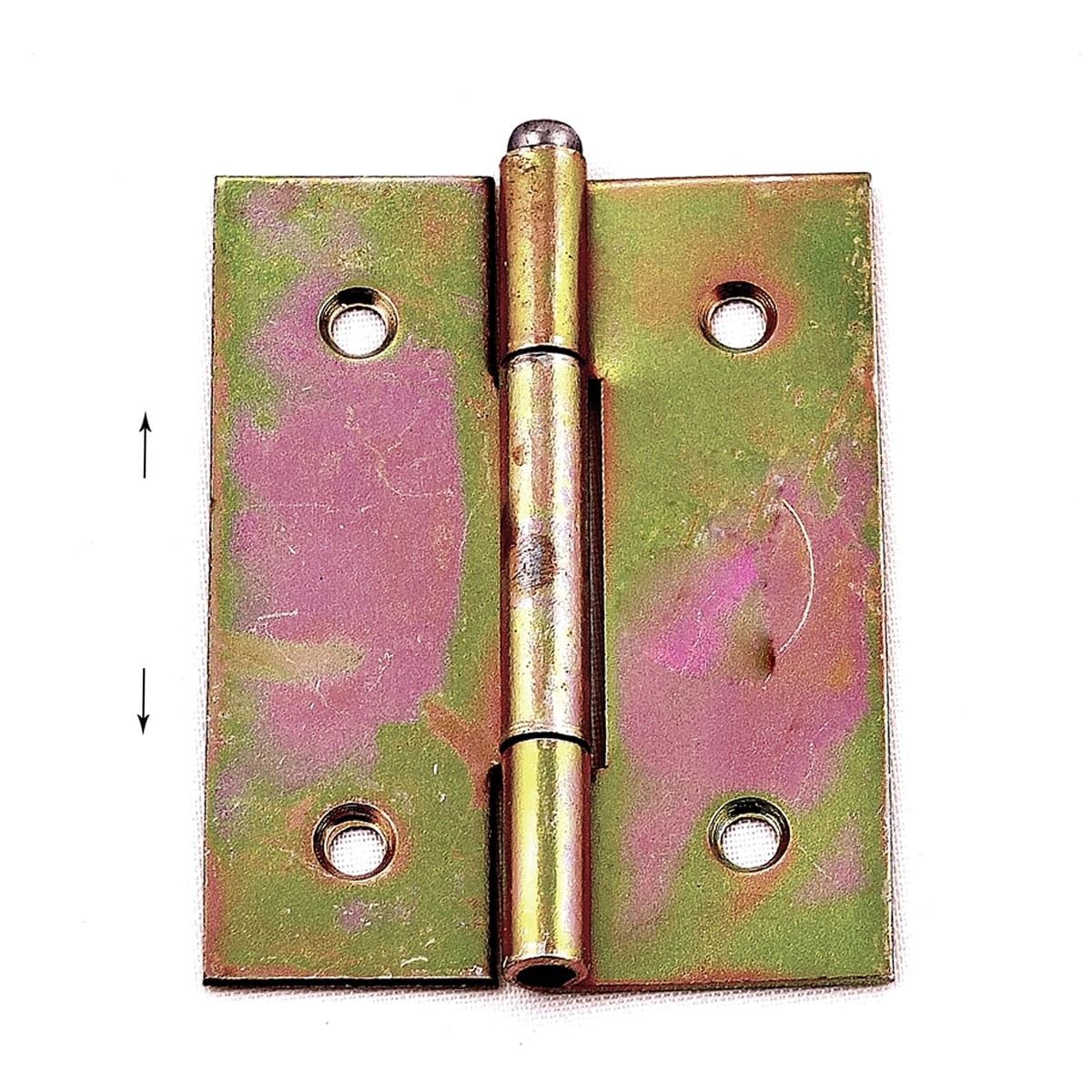 SARI YAPRAK MENTEŞE