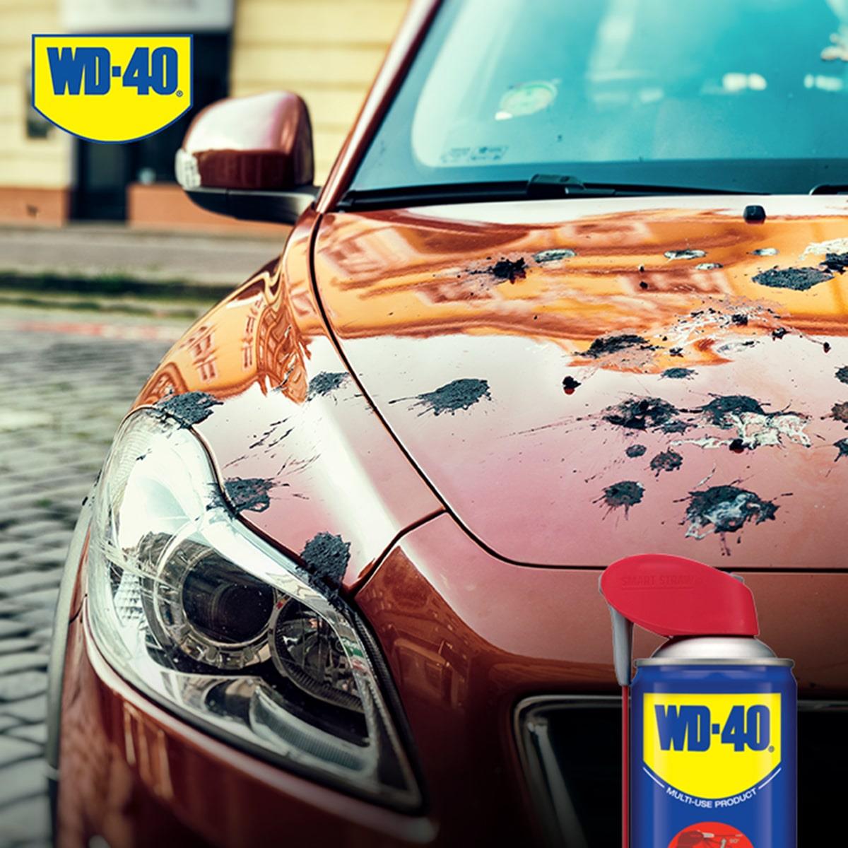 WD-40 Akıllı Pipetli Pas Sökücü Yağlayıcı Sprey 350 ML