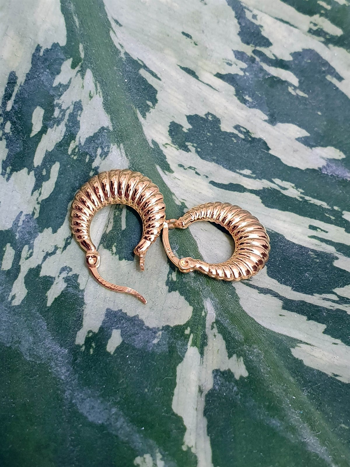 İstiridye Modeli Altın KüpeHalka Küpe